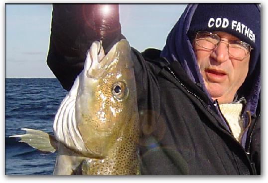 Offshore fishing for
                      cod lands another one for the cooler