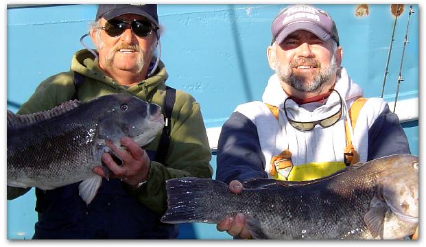 The Captain and
                      First mate show off some huge blackfish back at
                      the dock